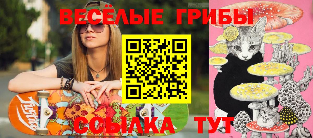 Галлюциногенные грибы мухоморы Новосибирск