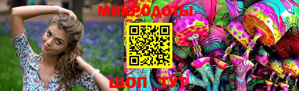 Новосибирск  как найти   Вход с VPN  Галлюциногенные грибы Psilocybe  Галлюциногенные грибы Psilocybine cubensis 