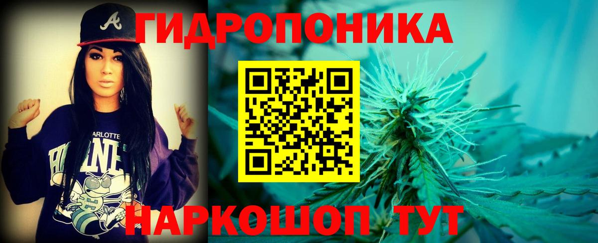 Бошки марихуана конопля Новосибирск